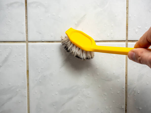 Best Attic Mold Removal  in Lawndale, CA