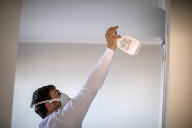Best Toxic Mold Removal  in Lawndale, CA