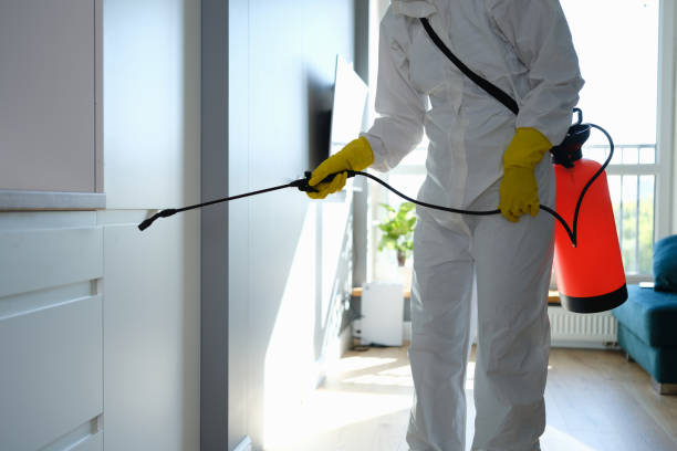 Mold Removal and Inspection in Lawndale, CA