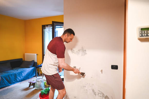Best Mold Testing  in Lawndale, CA